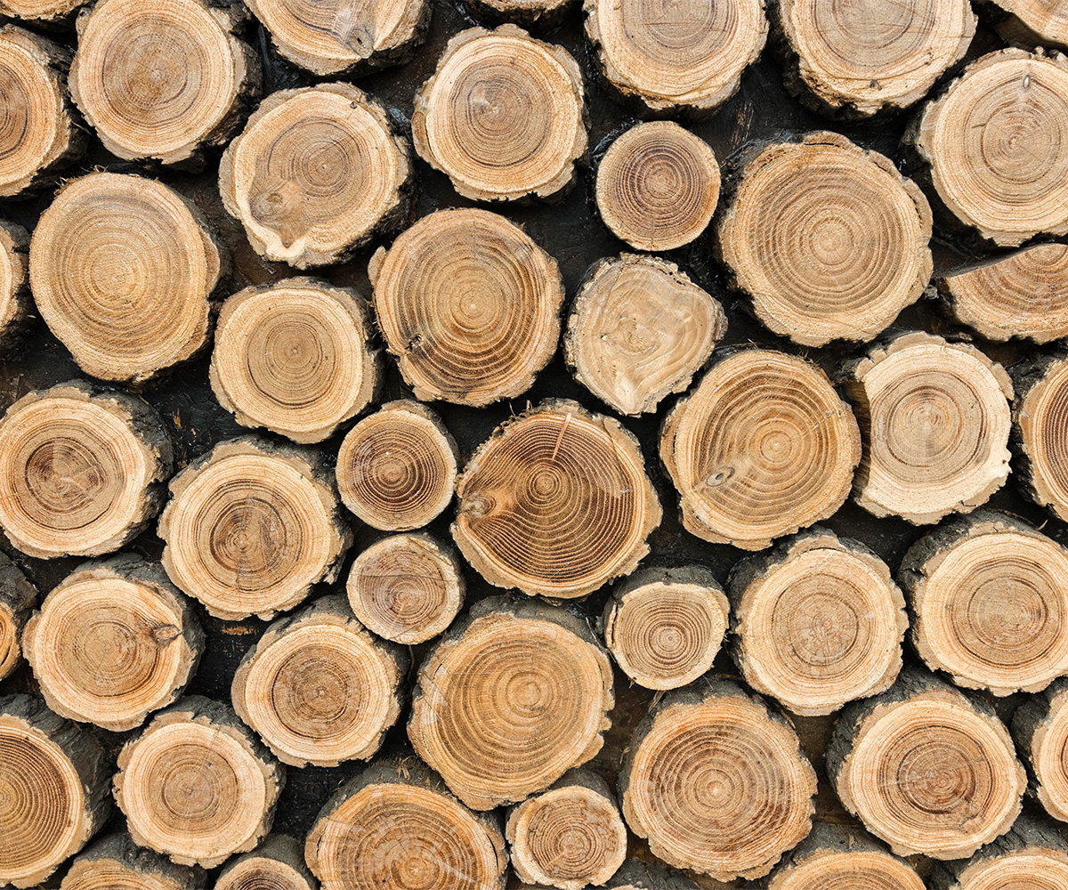 beste hout voor uw houtkachel